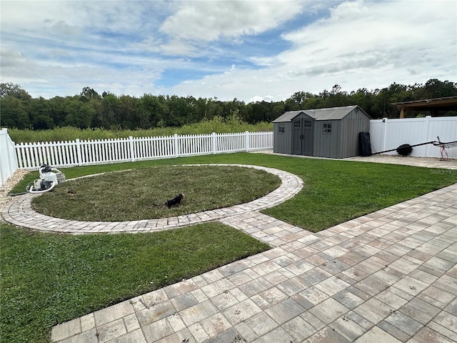 view of yard featuring a patio and a shed