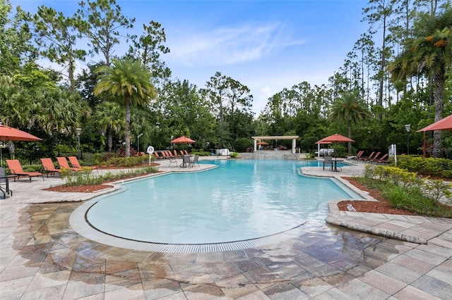 view of pool featuring a patio