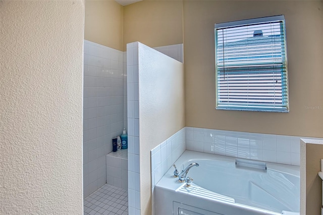 bathroom featuring a bathing tub