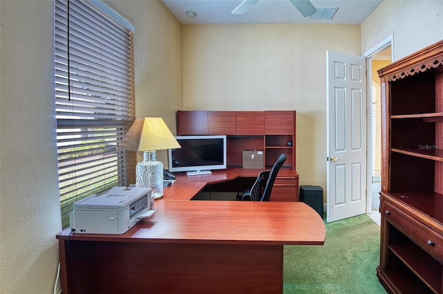 carpeted office space featuring ceiling fan