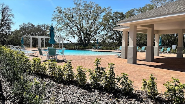 view of pool featuring a patio