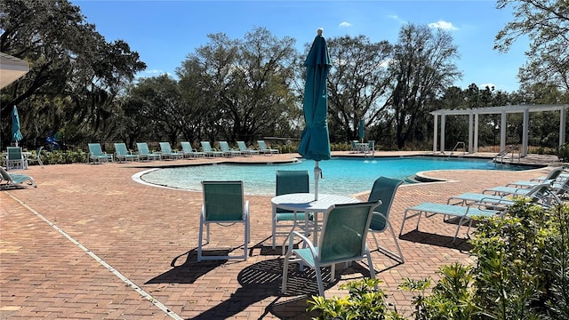 view of swimming pool featuring a patio