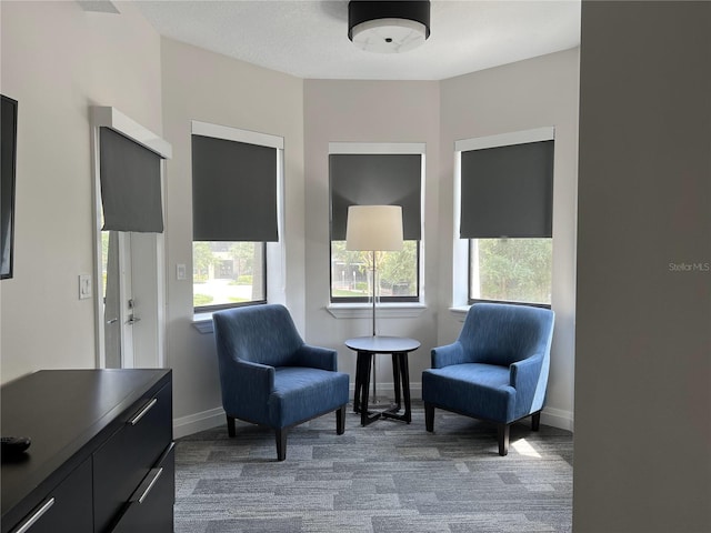 living area with carpet floors