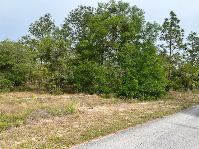 Listing photo 2 for SW Pensacola, Dunnellon FL 34431