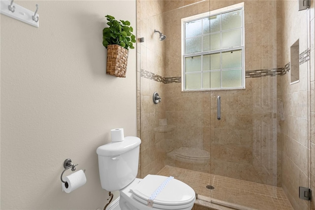 bathroom featuring toilet and a shower with door