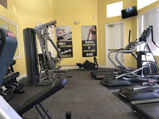 workout area featuring a towering ceiling