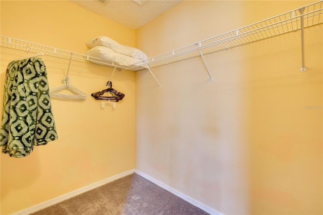 spacious closet with carpet floors