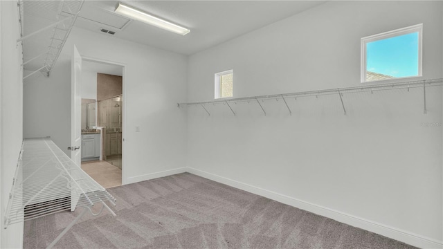 walk in closet with light colored carpet