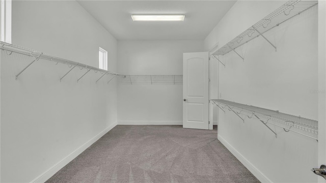 walk in closet featuring light colored carpet