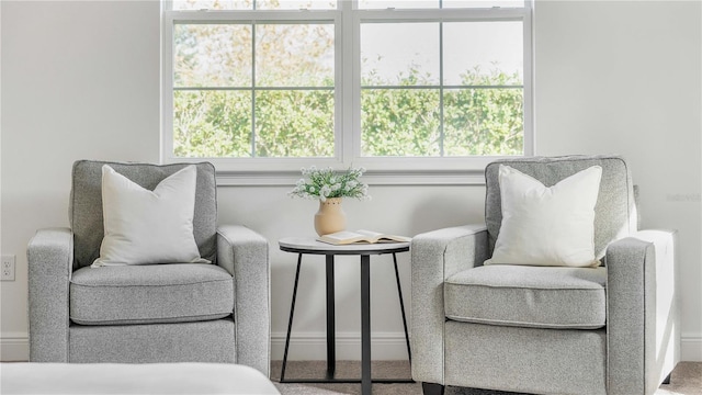 sitting room featuring carpet floors