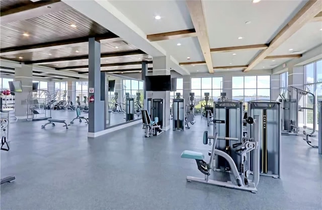 exercise room featuring a wealth of natural light