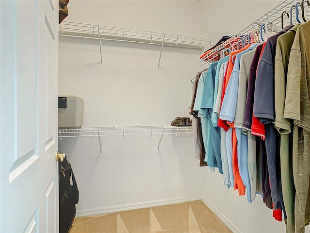 spacious closet featuring light carpet