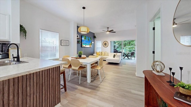 dining space with sink, light hardwood / wood-style flooring, and ceiling fan