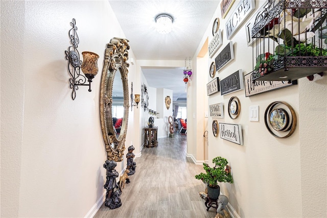 hallway featuring a textured ceiling and light hardwood / wood-style flooring