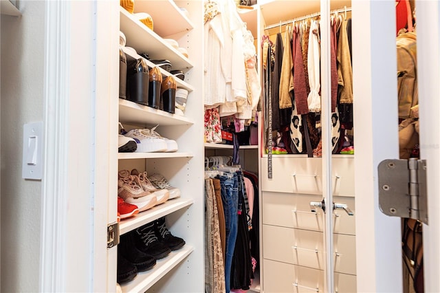 view of spacious closet