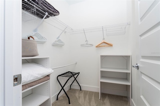 walk in closet with carpet floors