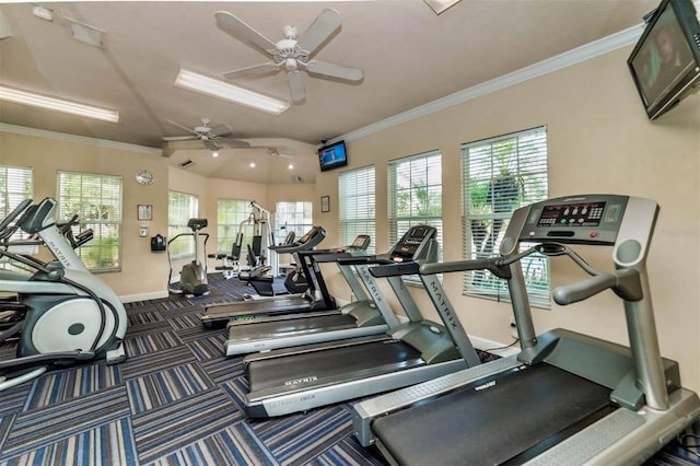 exercise room with dark colored carpet, ceiling fan, and crown molding