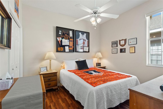 bedroom featuring a closet, multiple windows, and dark hardwood / wood-style flooring