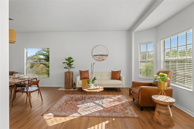 living area featuring a textured ceiling and dark wood-type flooring