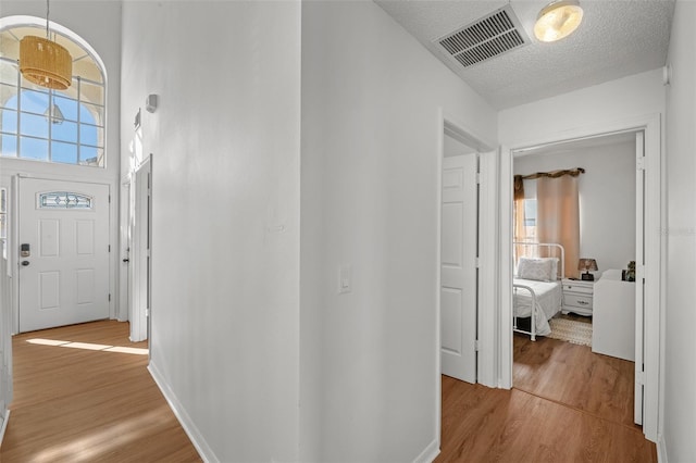 hall with a textured ceiling, light hardwood / wood-style floors, and a wealth of natural light