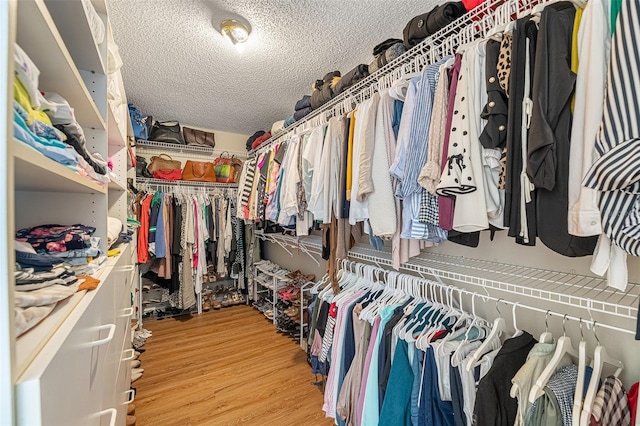 spacious closet with light wood-type flooring