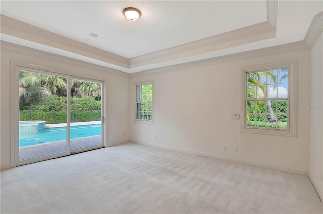 spare room with ornamental molding, a raised ceiling, light carpet, and baseboards