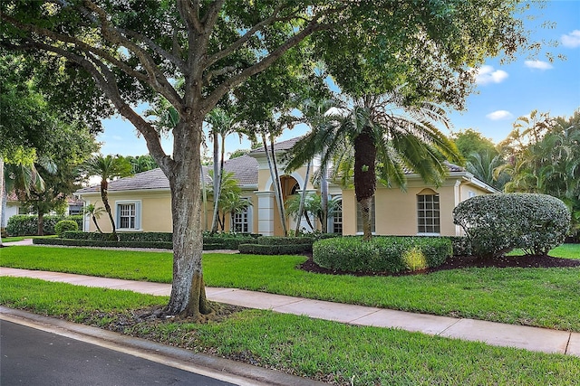 view of front of home featuring stucco siding and a front yard