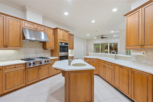 kitchen with a sink, appliances with stainless steel finishes, a ceiling fan, and under cabinet range hood