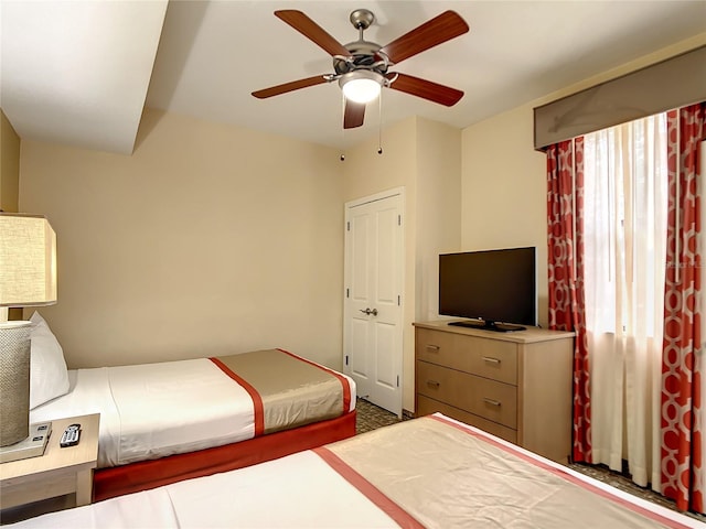 bedroom featuring ceiling fan and multiple windows