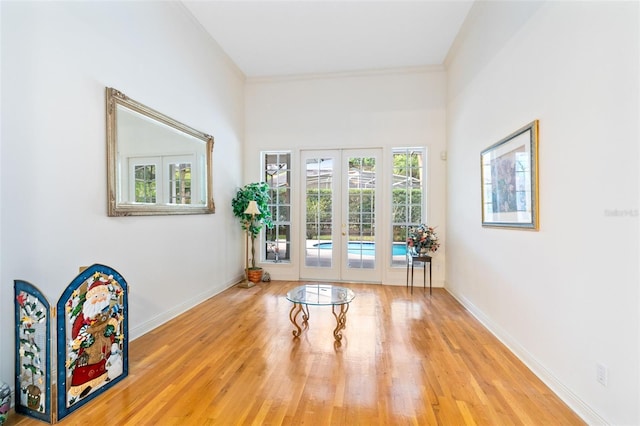 interior space featuring light hardwood / wood-style flooring and french doors