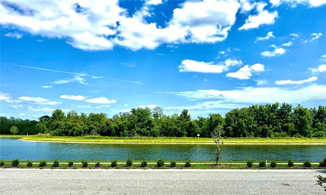 view of water feature