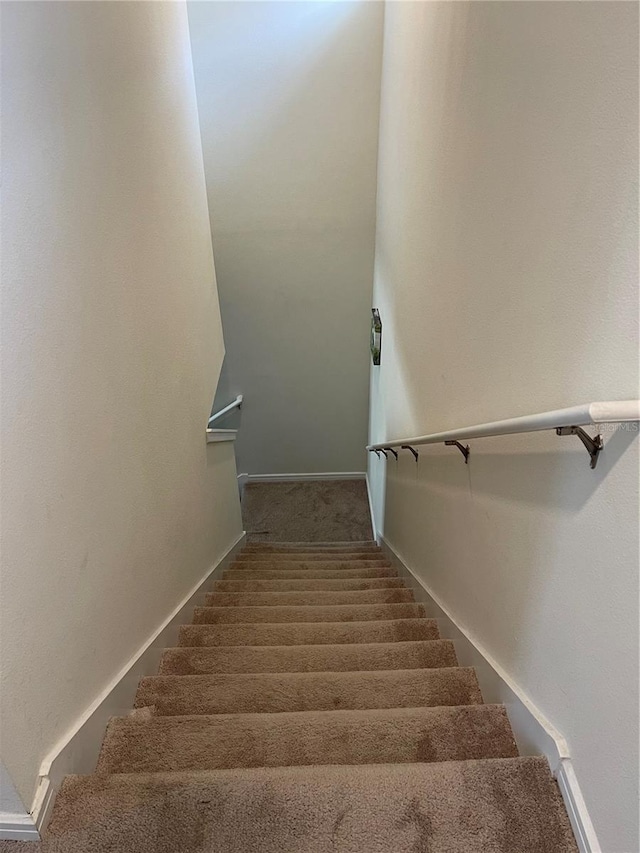 staircase featuring carpet floors