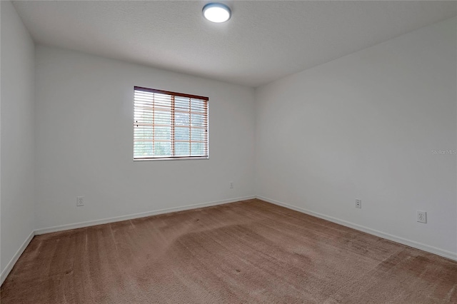 empty room with carpet and a textured ceiling