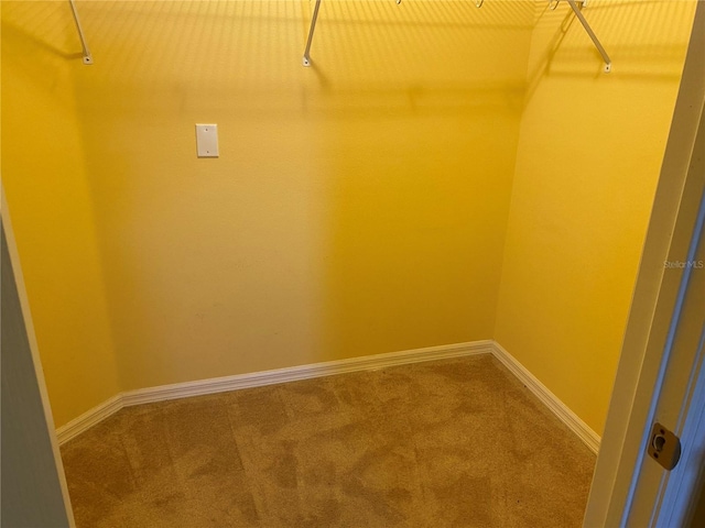 spacious closet featuring carpet