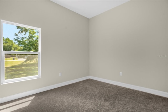 carpeted spare room featuring a healthy amount of sunlight