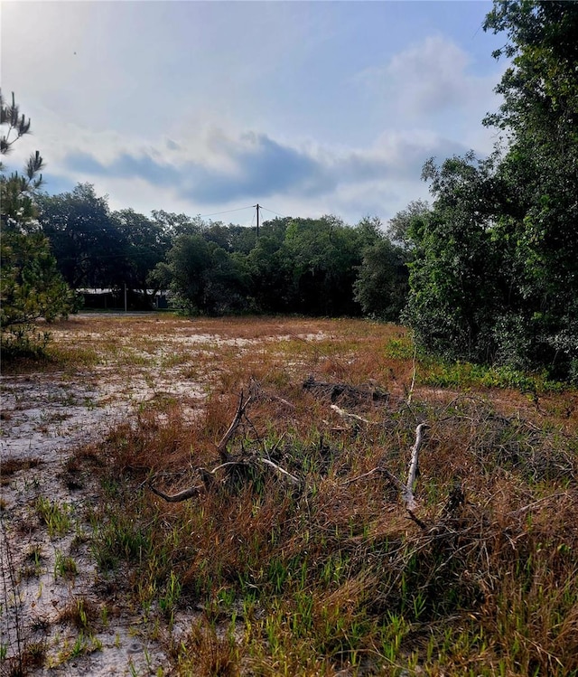 157 Deer Run Dr, Davenport FL, 33837 land for sale