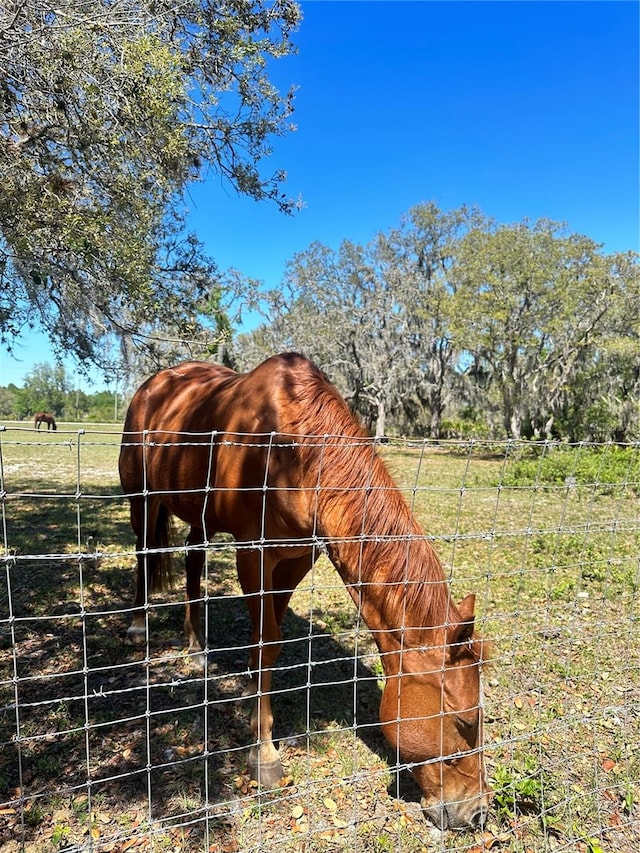 view of horse barn featuring a rural view