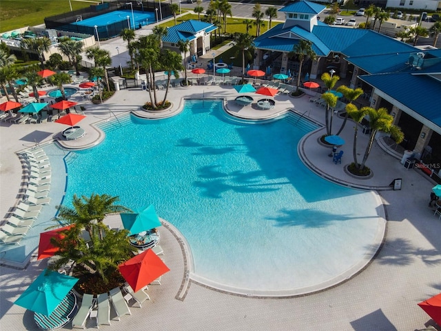 view of pool featuring a patio