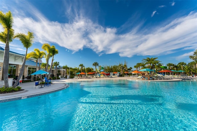 view of pool featuring a patio