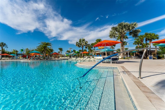 view of swimming pool