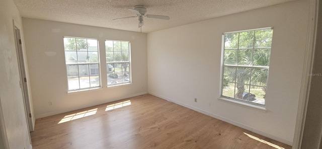 6016 Westgate Dr Unit 301, Orlando, FL 32835 - photo 9