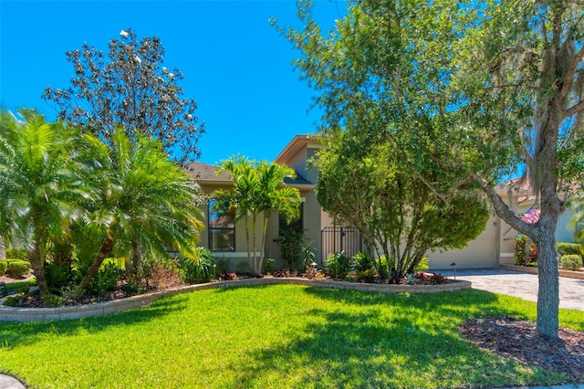 view of property hidden behind natural elements with a front yard