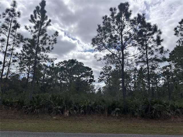 0 Allamanda Dr, Indian Lake Estates FL, 33855 land for sale