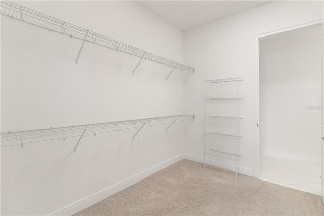 spacious closet with light carpet