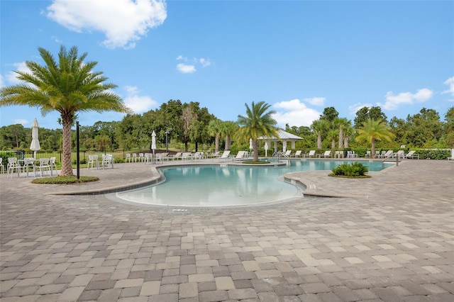 view of pool featuring a patio area