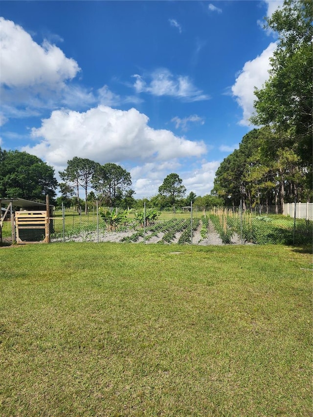 view of yard featuring a rural view