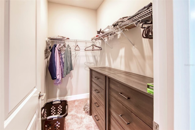 spacious closet with carpet floors