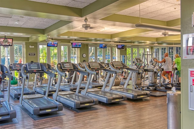 exercise room featuring french doors, a paneled ceiling, ceiling fan, and dark hardwood / wood-style floors