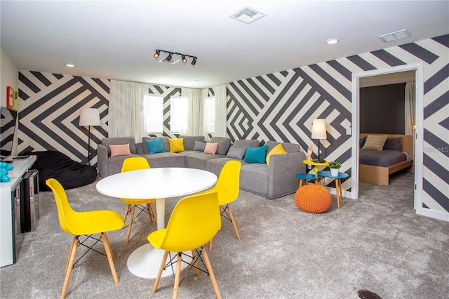 game room featuring a textured ceiling, track lighting, and carpet floors