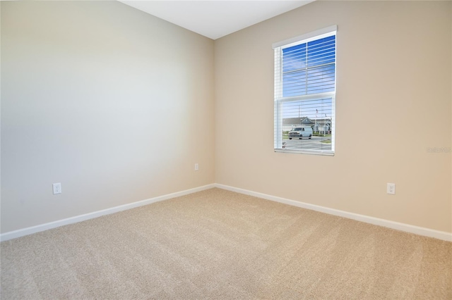 empty room featuring carpet